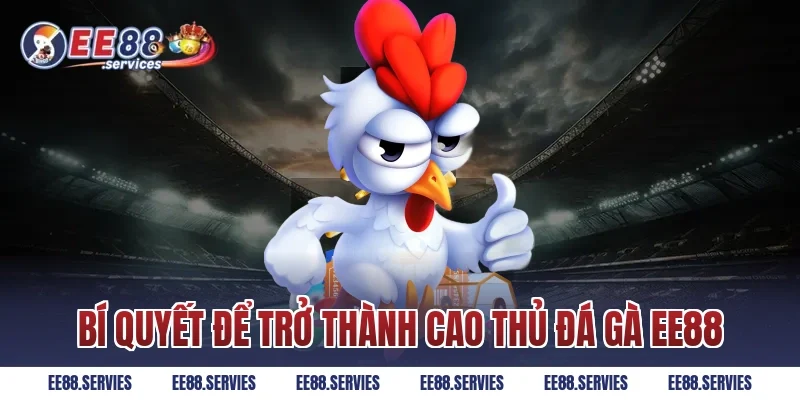 Bí quyết để trở thành cao thủ Đá Gà EE88