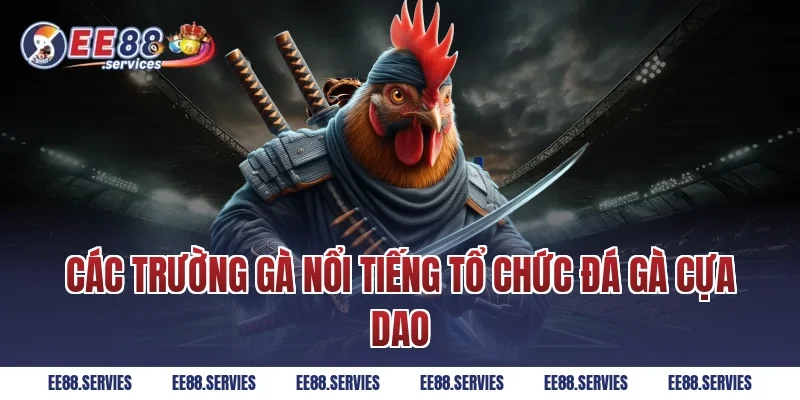 Các trường gà nổi tiếng tổ chức Đá Gà Cựa Dao