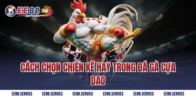 Cách chọn chiến kê hay trong Đá Gà Cựa Dao