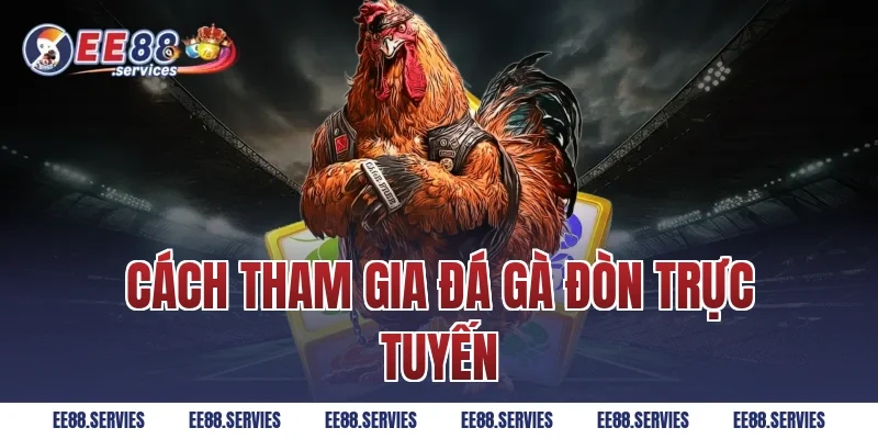 Cách tham gia Đá Gà Đòn trực tuyến