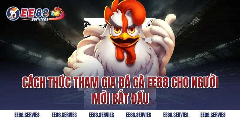 Cách thức tham gia Đá Gà EE88 cho người mới bắt đầu