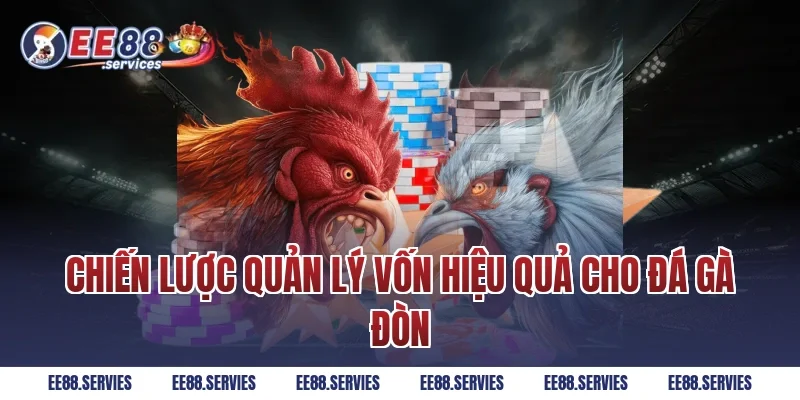 Chiến lược quản lý vốn hiệu quả cho Đá Gà Đòn