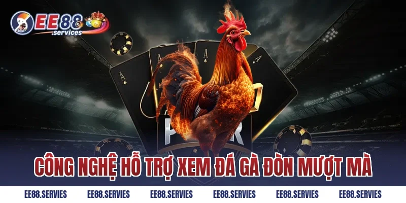 Công nghệ hỗ trợ xem Đá Gà Đòn mượt mà