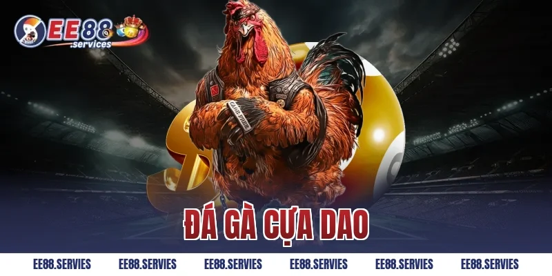 Đá Gà Cựa Dao – Hình Thức Chọi Gà Số 1 Thị Trường Năm 2025