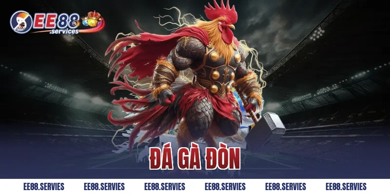 Đá Gà Đòn – Top 04 Đặc Điểm Nổi Bật Hội Viên Cần Biết