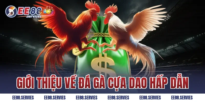 Giới thiệu về Đá Gà Cựa Dao hấp dẫn