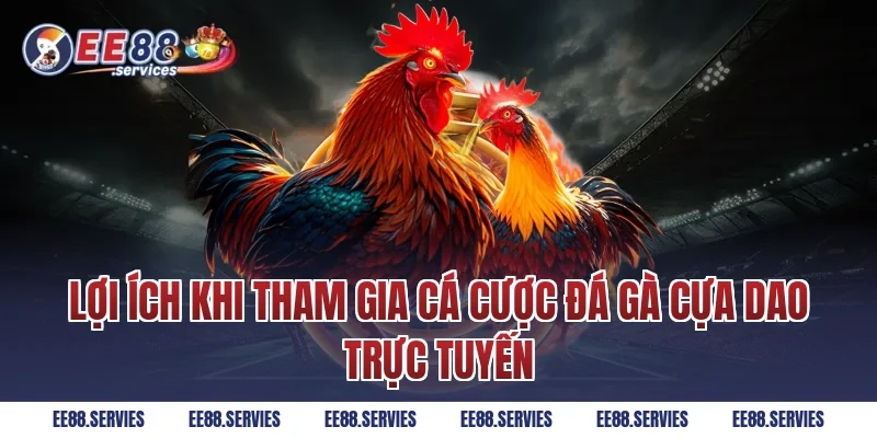 Lợi ích khi tham gia cá cược Đá Gà Cựa Dao trực tuyến