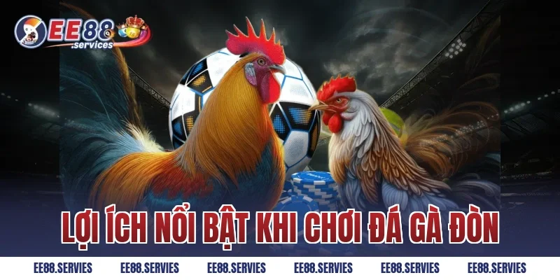 Lợi ích nổi bật khi chơi Đá Gà Đòn