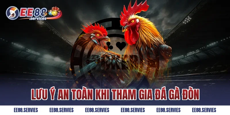 Lưu ý an toàn khi tham gia Đá Gà Đòn