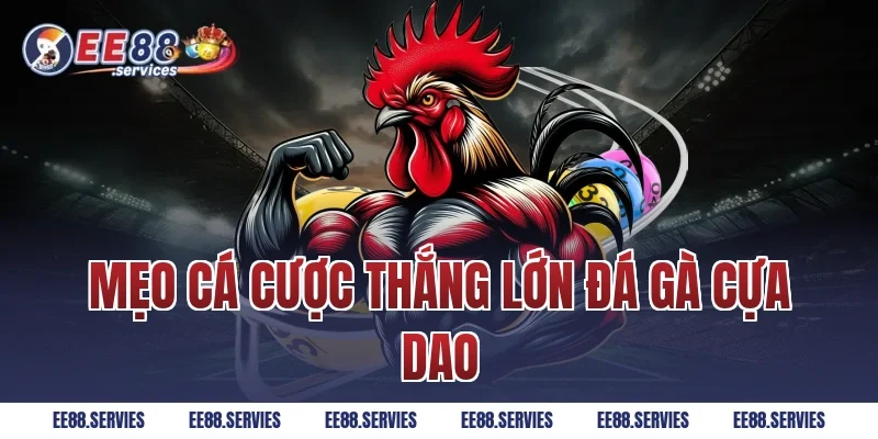 Mẹo cá cược thắng lớn Đá Gà Cựa Dao