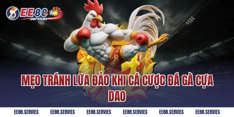 Mẹo tránh lừa đảo khi cá cược Đá Gà Cựa Dao