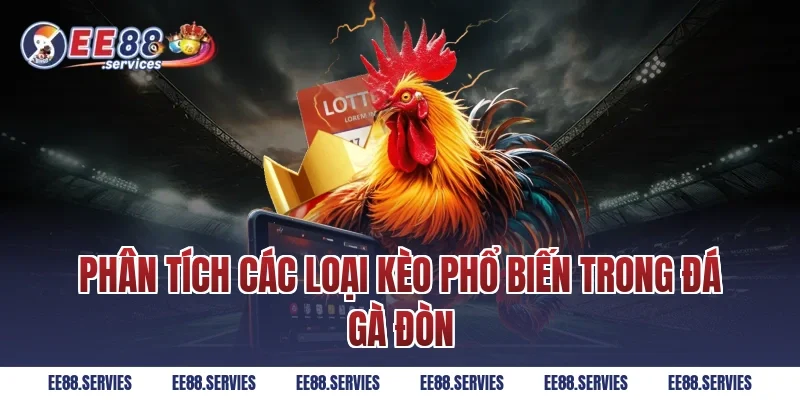 Phân tích các loại kèo phổ biến trong Đá Gà Đòn