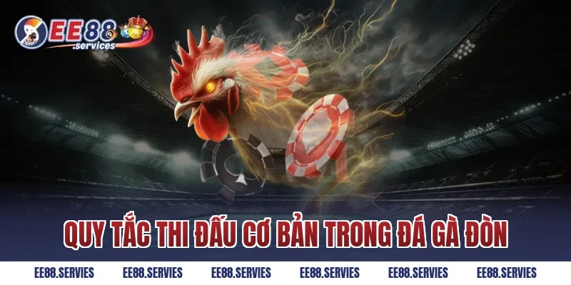 Quy tắc thi đấu cơ bản trong Đá Gà Đòn