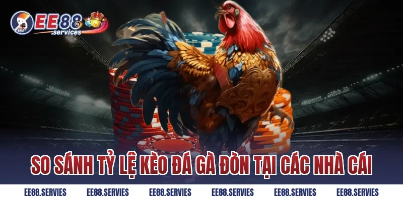 So sánh tỷ lệ kèo Đá Gà Đòn tại các nhà cái