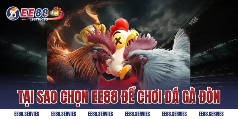 Tại sao chọn EE88 để chơi Đá Gà Đòn