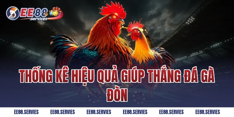 Thống kê hiệu quả giúp thắng Đá Gà Đòn