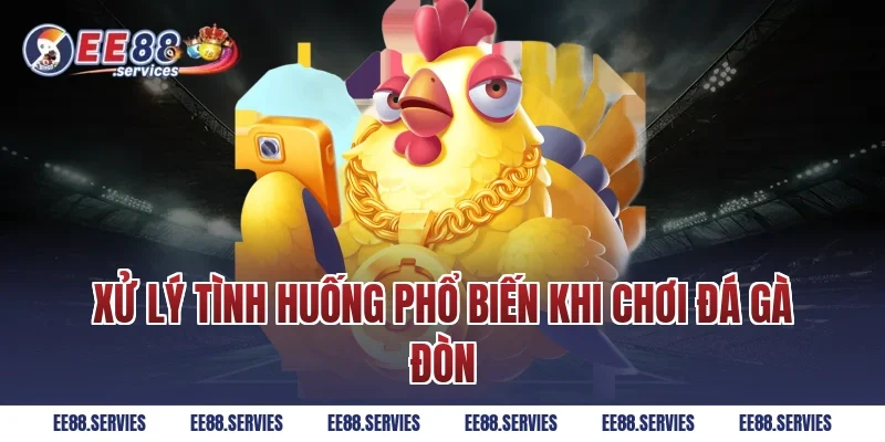 Xử lý tình huống phổ biến khi chơi Đá Gà Đòn